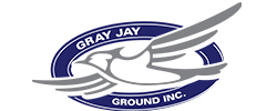 Gray Jay